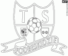 Logo de TS Podbeskidzie, Towarzystwo Sportowe Podbeskidzie Bielsko-Biała, club de futbol a Bielsko-Biała, ciutat a la riba del riu Biała al peu dels Carpats al Voivodat de Silèsia, situada al sud de Polònia, a prop de la frontera amb la República Txeca i Eslovàquia