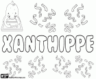 Xanthippe, nom grec per a noia, una altra variant del mateix nom és Xanthippi. Xanthippe o Xantipa va ser l'esposa de Sòcrates, filòsof grec famós