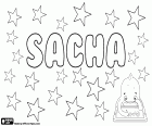 Sacha, nom unisex en diferents llengües, variant de Sasha, Sascha, Sasja i Saša, diminutives d'origen rus Alexandre i Alexandra