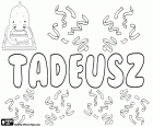 Tadeusz, variant de Taddeusz, nom bíblic masculí d'origen arameu, Thaddai, nom en polonès i francès, variant del nom grec Thaddaios i del nom llatinitzat Thaddeus, Tadeu