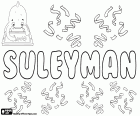Suleyman, nom turc per a nen, variant de Solimà, Sulayman, Sulayman i Suleiman, derivat del nom d'origen hebreu Shelomoh, Salomó, el seu significat és pacífic