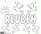 Reuben, variant de Reuven i Reubhen, nom de noi d'origen hebreu, correspon a Ruben