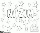 Nazim, variant de Nazem, Nadhem o Nadhim, la transcripció del nom àrab per a nen que significa poeta