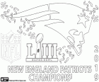 New England Patriots són els campions de la Super Bowl 2019. Han superat a la final a Los Angeles Rams 13-3. L'MVP ha estat Julian Edelman. New England Patriots i el quarterback Tom Brady obtenen el seu sisè títol de campió