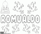 Romualdo, nom d'origen germànic, en diversos idiomes com l'espanyol, el portuguès i l'italià, derivat del llatí medieval Romualdus