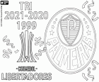 La Sociedade Esportiva Palmeiras ha guanyat el seu tercer títol de campió de la Copa Libertadores. El Palmeiras va superar el Flamengo per 2-1 a la final amb gols de Raphael al minut 5 i el gol decisiu de Deyverson al minut 95, i gol al minut 72 de Gabriel Barbosa per a l'equip carioca.