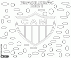 El Clube Atlético Mineiro és el campió del Brasileirão 2021, la Série A del Campionat brasiler. Aquest és el segon títol del club Belo Horizonte després de l'aconseguit fa cinquanta anys, el 1971