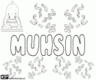 Muhsin, nom masculí en àrab i turc, variant de Muhsen, Mohsen i Mohsin, el seu significat és beneficient
