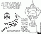 Els Springboks de Sud-àfrica han retingut el títol mundial en vèncer el All Blacks de Nova Zelanda per 11-12. Sud-àfrica és el primer país a guanyar quatre vegades la Webb Ellis Cup, el trofeu per al guanyador del campionat mundial de rugbi. Els quatre títols mundials de Sud-àfrica són els aconseguits a Sud-àfrica 1995, França 2007, Japó 2019 i França 2023