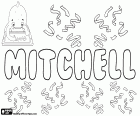 Mitchell i la seva variant Mitchel, nom masculí en anglès, escocès i irlandès, té diferents orígens etimològics, tots ells derivats dels noms Michael o Michel