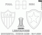Atlético Mineiro vs. Botafogo, la final de la Copa Libertadores 2024, Estadi Monumental de Buenos Aires, Argentina