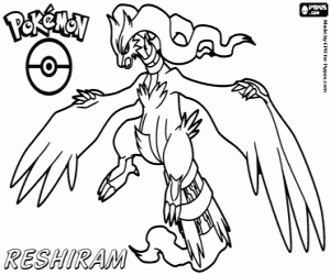 Pintar Reshiram, un pokémon negre