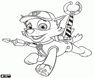 Pintar Rocky, gos de raça mixta Paw Patrol