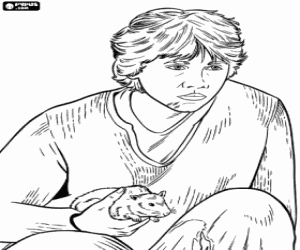 Pintar Ron amb la rata a mà