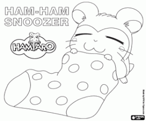 Pintar Snoozer, un Ham-Ham dormilega
