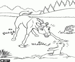 Pintar Una sorpresa pel poltre Spirit