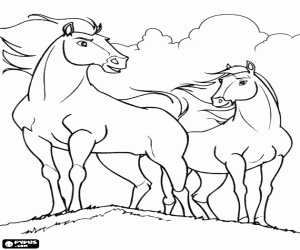 Pintar Spirit i Pluja, cavall i euga