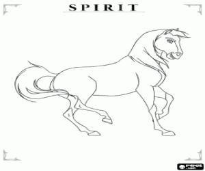 Pintar Spirit, el poltre indomable