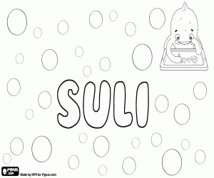 Pintar Suli, nom amb diferents orígens