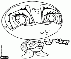 Pintar Tortuga, Zooble de Petagonia