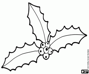 Pintar Tres fulles de grèvol amb fruits