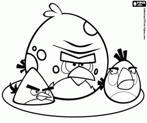 Pintar Tres ocells enfadats, Angry Birds