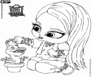 Pintar Venus McFlytrap, Monster High Baby