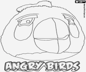 Pintar White Bird, Angry Birds